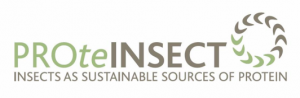 PROteINSECT Logo